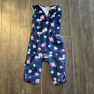Baby Girl Jumpsuit (Size 12M)